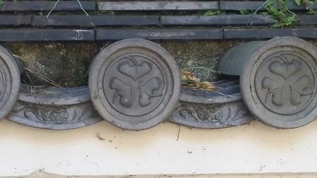 三葉葵紋入りお櫃 狭まり